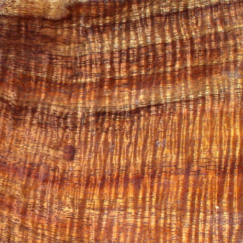 Flamed Koa Top Wood