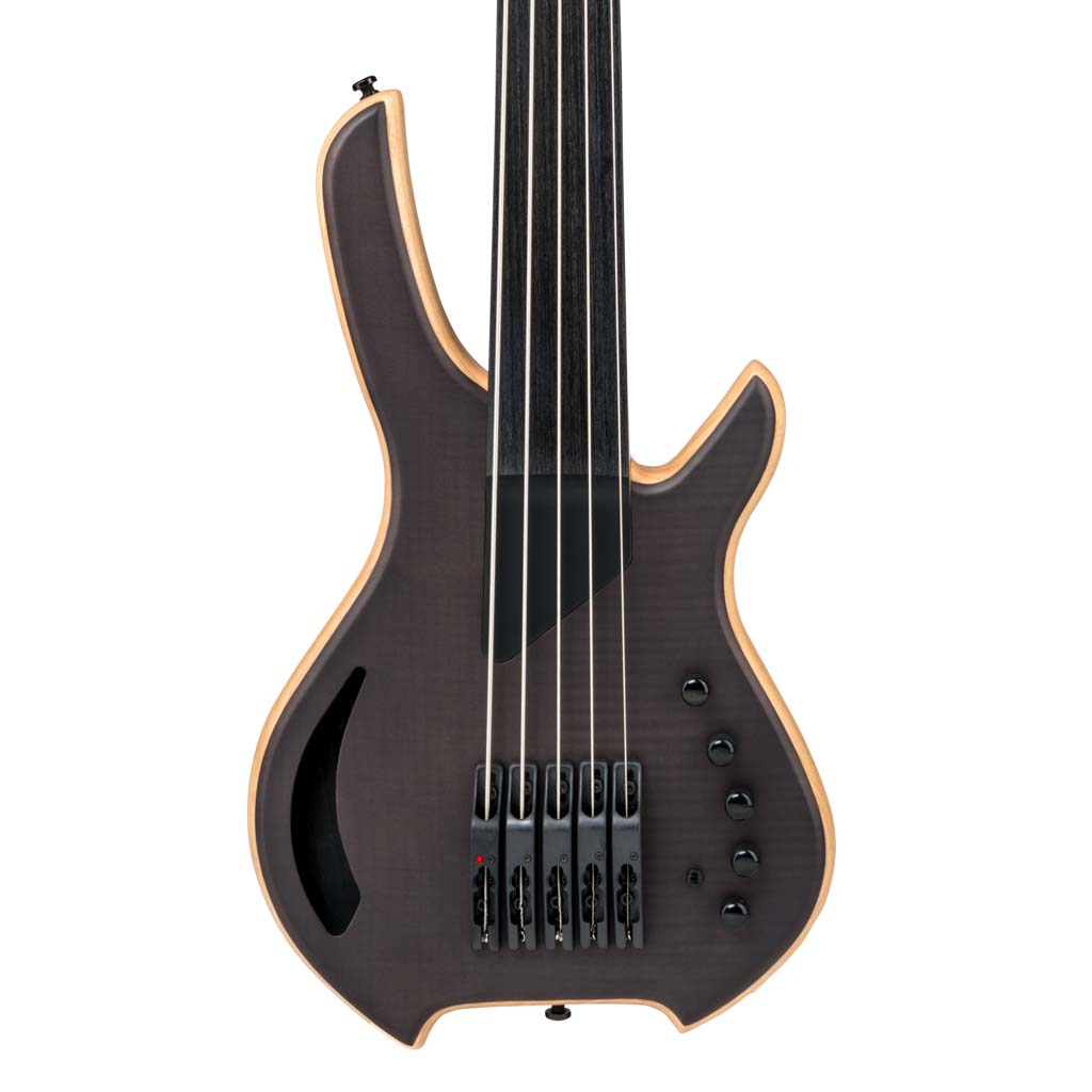 Willcox Bass Untitled-3-2